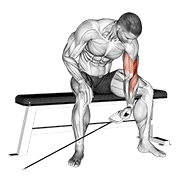 cable seated one arm concentration curl animation