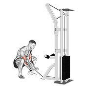 cable squatting curl animation
