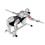 cable two arm curl on incline bench animation