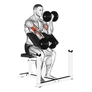 dumbbell alternate preacher curl animation