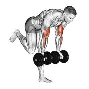 dumbbell bicep curl with stork stance animation