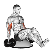 dumbbell biceps curl v sit on bosu ball animation