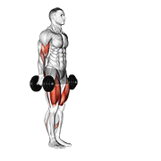 dumbbell lunge with bicep curl animation