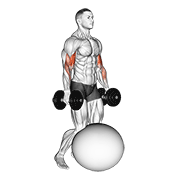 dumbbell kneeling bicep curl exercise ball animation