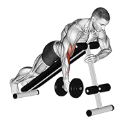 dumbbell one arm prone hammer curl animation