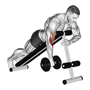 dumbbell one arm reverse spider curl animation