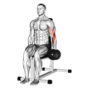 dumbbell one arm seated hammer curl animation