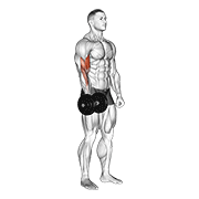 dumbbell one arm standing curl animation