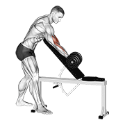 dumbbell one arm zottman preacher curl animation
