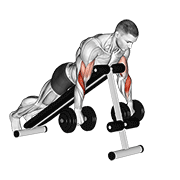 dumbbell reverse spider curl animation
