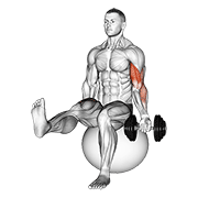 dumbbell seated one arm bicep curl on exercise ball with leg raised animation