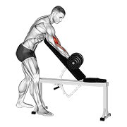 dumbbell standing one arm curl over incline bench animation