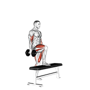 dumbbell step up single leg balance with bicep curl animation