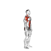 posterior step to overhead reach animation
