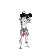 dumbbell push press animation