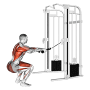 cable squat row (with rope attachment) animation