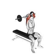 barbell seated close grip behind neck triceps extension animation
