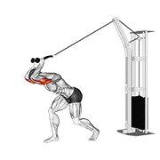 cable high pulley overhead tricep extension animation