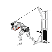 cable rope high pulley overhead tricep extension animation