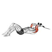 cable rope lying on floor tricep extension animation