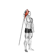 cable standing reverse grip one arm overhead tricep extension animation