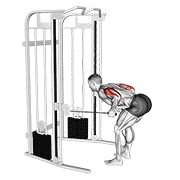 cable two arm tricep kickback animation