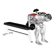 dumbbell seated bent over alternate kickback animation