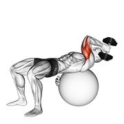 dumbbell one arm french press on exercise ball animation