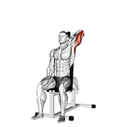 dumbbell seated reverse grip one arm overhead tricep extension animation