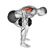 dumbbell standing bent over one arm triceps extension animation