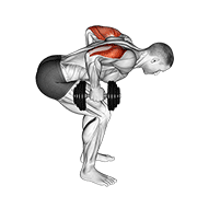 dumbbell standing bent over two arm triceps extension animation