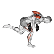 dumbbell tricep kickback with stork stance animation