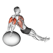 exercise ball dip animation