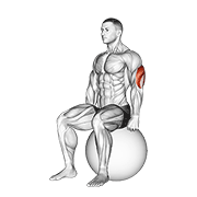 exercise ball seated triceps stretch animation