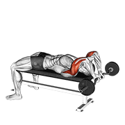 ez bar lying close grip triceps extension behind head animation