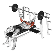 barbell pin presses animation