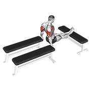 three bench dip animation