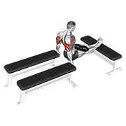 weighted three bench dips animation