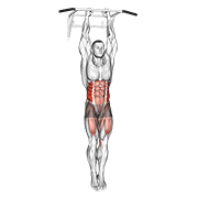 hanging oblique knee raise animation