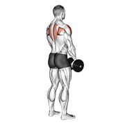 dumbbell upright row (back pov) animation