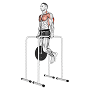 weighted triceps dip on high parallel bars animation