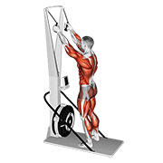 ski ergometer animation