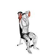 dumbbell seated triceps extension animation