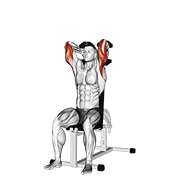 dumbbells seated triceps extension animation