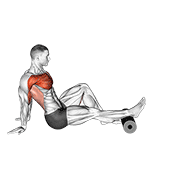 roller seated single leg shoulder flexor depresor retractor animation