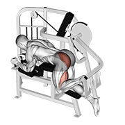 lever hip extension v. 2 animation