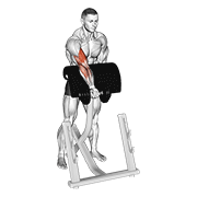 dumbbell standing zottman preacher curl animation