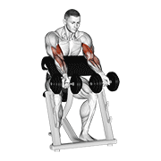 dumbbell zottman preacher curl animation