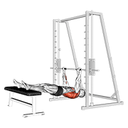 inverted row on bench animation