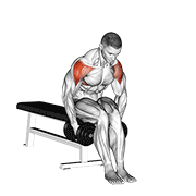 dumbbell seated bent arm lateral raise animation